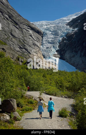 Briksdal Gletscher. Nationalpark Jostedalsbreen. Norwegen Stockfoto