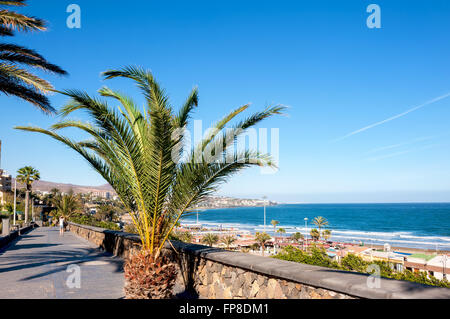 Böschung in Playa Del Ingles. Maspalomas. Gran Canaria Stockfoto