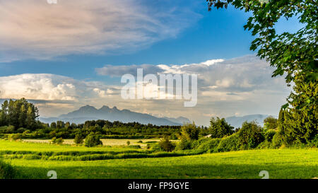 Goldenen Ohren Berg unter blauem Himmel mit ein paar Wolken gesehen von Derby zu erreichen, in dem Fraser Valley of British Columbia, Kanada Stockfoto