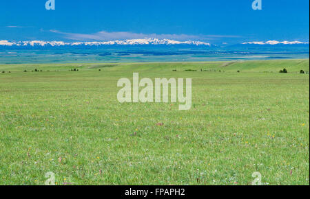 weiten Prärie in der Nähe von Judith Lücke, Montana, mit den Beartooth Absaroka und verrückte Berge in der Ferne Stockfoto