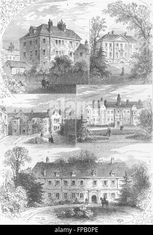 CHELSEA: Gough, Shrewsbury, Beaufort, Winchester House, antique print 1880 Stockfoto