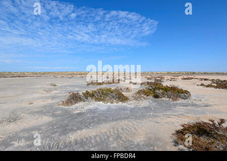 McLeod Lake, Gascoine Region, Carnarvon, Western Australia, WA, Australien Stockfoto