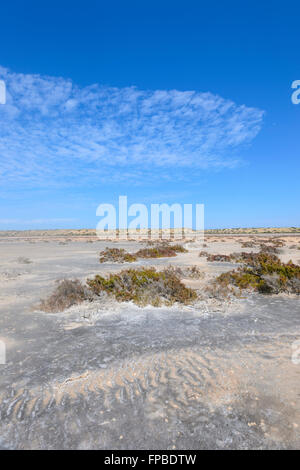 McLeod Lake, Gascoine Region, Carnarvon, Western Australia, WA, Australien Stockfoto