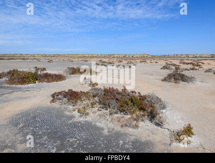 McLeod Lake, Gascoine Region, Carnarvon, Western Australia, WA, Australien Stockfoto