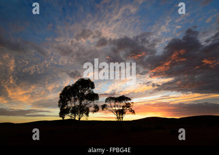 Sonnenaufgang in der Nähe von Lake Gairdner, South Australia, Australien Stockfoto