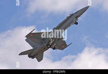 Swiss Air Force F/A - 18C Hornet J-5005 der Hebezeuge Stockfoto