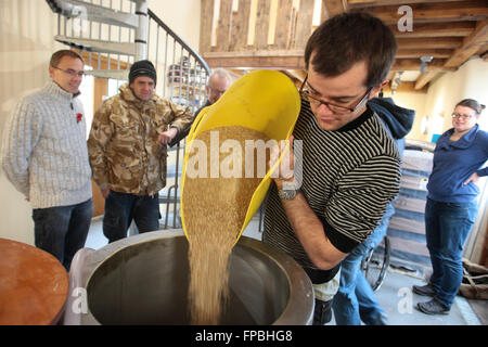 Ein Bierzubereitungskurs in Hillside Brewery, Gloucestershire, Craft Ale Brewery, UK. Stockfoto