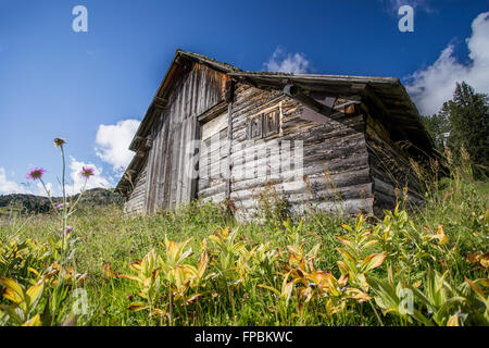 Alte Holz-Ferienhaus Stockfoto