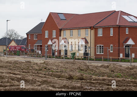 Neubaugebiet. Grünen Wiese. Hoveton. Wroxham. East Anglia. Broadland. East Anglia. England. Stockfoto