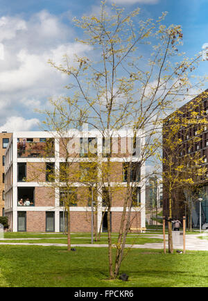 Ein Blick auf zeitgenössische niederländische Wohnungsbau in den Niederlanden. Moderne Gebäude. Fünen-Park. Stockfoto