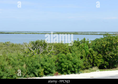 Straße auf der Insel Cayo Coco jenseits des Atlantiks, Kuba Stockfoto