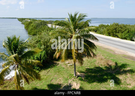 Straße auf der Insel Cayo Coco jenseits des Atlantiks, Kuba Stockfoto