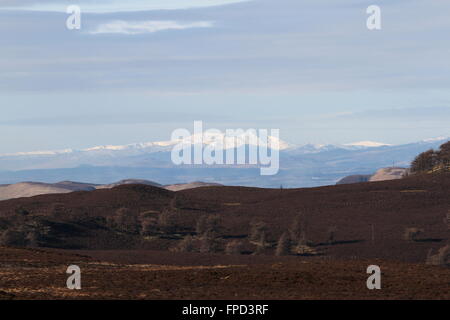 Fernen Gipfel des Stuc ein Chroin und Ben Vorlich betrachtet aus Sidlaw Hills Schottland März 2016 Stockfoto