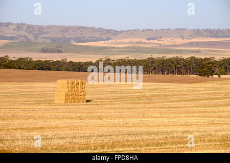 Mitte Nord Landschaft, Clare Valley, South Australia Stockfoto