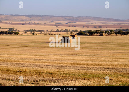 Mitte Nord Landschaft, Clare Valley, South Australia Stockfoto