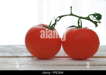 Zwei natürliche Tomaten auf einem weißen Holztisch. Leere Kopie Platz für Text Editor. Stockfoto