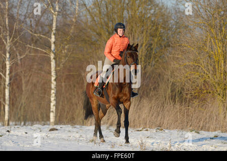 Reiter auf Bavaian Reiten im winter Stockfoto