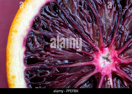 Citrus x Sinensis. Blutorange hautnah Stockfoto