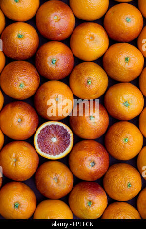 Citrus x Sinensis. Blut-Orangen-Muster Stockfoto