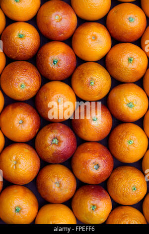 Citrus x Sinensis. Blut-Orangen-Muster Stockfoto