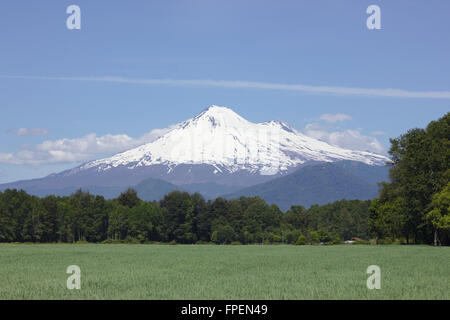 Vulkan Llaima aus Westen, Lake District, Chile Stockfoto