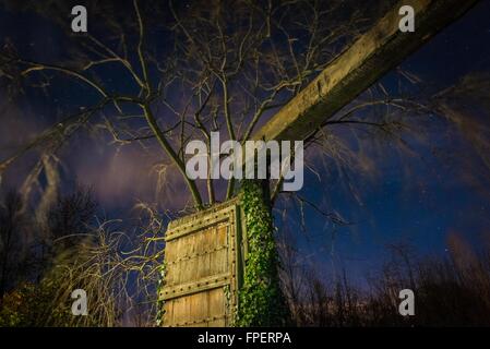 Lange Exposition Foto des Baumes schwanken von einem großen Tor unter einem Sternenhimmel Stockfoto