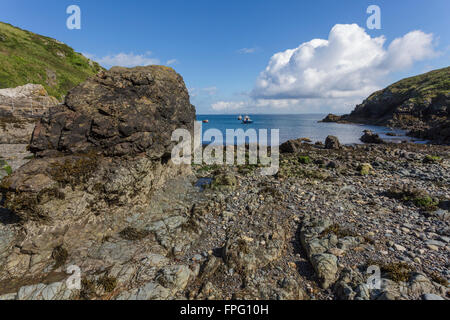 Martins Haven Beach, Pembrokeshire, Wales UK Stockfoto