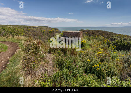 Pillendose aus dem zweiten Weltkrieg in Llantwit Major, South Wales UK Stockfoto