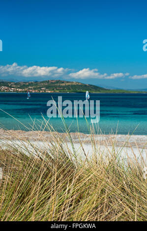 Siniscola, Sardinien, Italien, 10/2012. Sanddünen am Strand von Capo Comino in einem hellen und sonnigen Tag Stockfoto