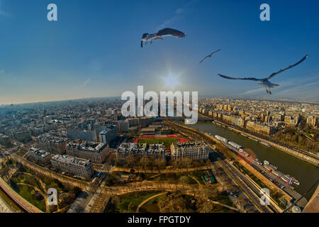 Vogelschwarm über Paris bei Sonnenuntergang - Freiheit-Konzept Stockfoto