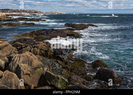 Küsten-Szene in der Nähe von Peggys Cove in Nova Scotia Stockfoto