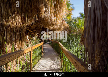 Holzbrücke und Palmen am Coachella Valley zu bewahren Stockfoto