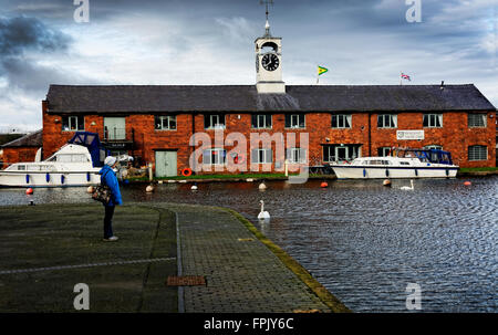 Die Becken Büros und Yacht Club sind ruhig in den Wintermonaten an Stourport auf Severn, wo Schwäne Ruhe finden Stockfoto