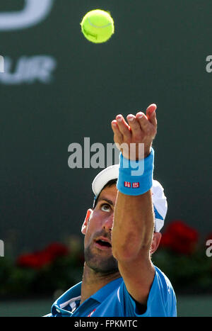 Indian Wells, Vereinigte Staaten. 18. März 2016. Novak Djokovic Serbien dient dazu den Ball, Jo-Wilfried Tsonga Frankreichs während die Männer Einzel Viertelfinale der BNP Paribas Open Tennis-Turnier in Indian Wells, Kalifornien, USA, am 18. März 2016. Novak Djokovic gewann 2: 0. © Zhao Hanrong/Xinhua/Alamy Live-Nachrichten Stockfoto