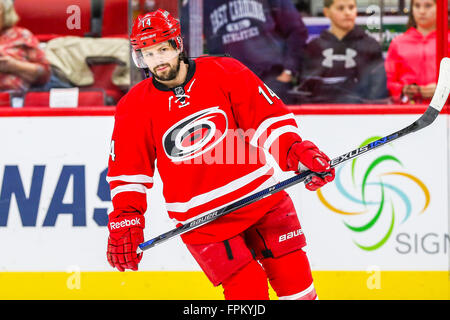 Raleigh, North Carolina, USA. 26. Februar 2016. Carolina Hurricanes linken Flügel Nathan Gerbe (14) während der NHL-Spiel zwischen den Boston Bruins und die Carolina Hurricanes in der PNC-Arena. © Andy Martin Jr./ZUMA Draht/Alamy Live-Nachrichten Stockfoto