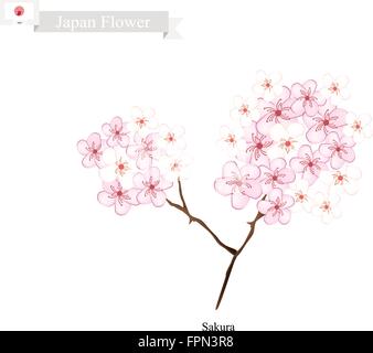 Japan-Blume, Illustration von Sakura, Kirschblüten oder japanische Kirsche. Die nationale Blume von Japan. Stock Vektor