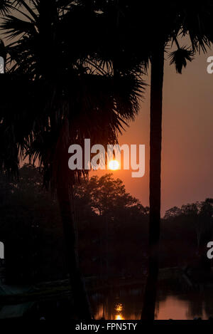 Sonnenuntergang über den Bäumen mit Reflexionen in einem See in der Nähe von Angkhor Wat, Kambodscha Stockfoto