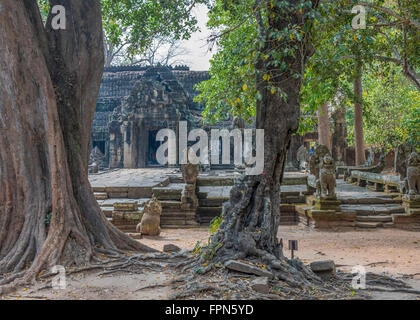 Blick auf das 12. Jahrhundert Banteay Kdei Tempel, Kambodscha durch die Urwaldbäume von König Jayavarman VII. gebaut Stockfoto