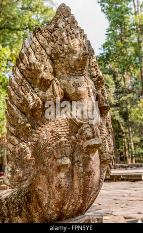 Dramatische Naga, die Schlange vor dem 12. Jahrhundert Banteay Kdei Tempel, Kambodscha von König Jayavarman VII. gebaut Stockfoto