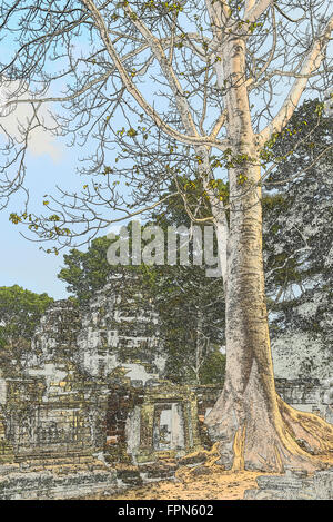 Riesige Chambak oder Kapok, Baum, Irvingia Malayana wächst über das 12. Jahrhundert Banteay Kdei Tempel, Kambodscha, Stockfoto