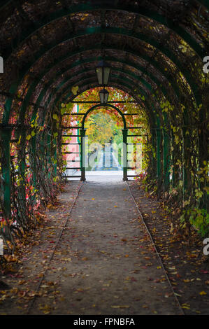 Im inneren Bogen mit herbstlichen Zeit Lianen und Laternen Stockfoto