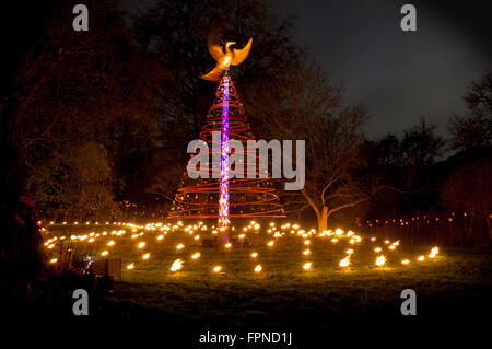 Metall-Xmas Tree und Phoenix Vogel Weihnachten Xmas saisonale Beleuchtung Beleuchtung Kew Gardens, London UK. Stockfoto