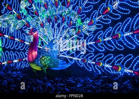 Die beleuchtete Pfau Lichter anzeigen Weihnachten Xmas saisonale Beleuchtung Beleuchtung Kew Gardens, London UK. Stockfoto