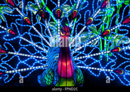 Die beleuchtete Pfau Lichter anzeigen Weihnachten Xmas saisonale Beleuchtung Beleuchtung Kew Gardens, London UK. Stockfoto
