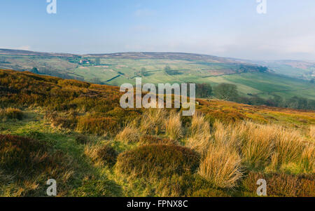 Sonnenuntergang über den North York Moors National Park mit hohen Wollgras und einem isolierten Bauernhaus, umgeben von Ackerland. Stockfoto