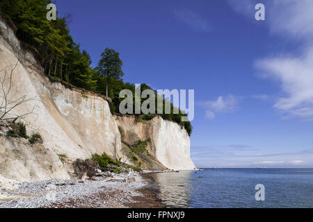 Kreidefelsen in Sassnitz Stockfoto