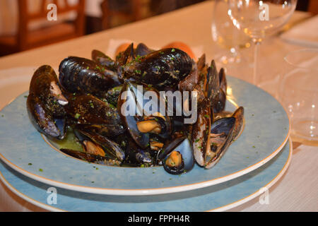 Teller mit gekochten Muscheln, Genua, Ligurien, Italien, Europa Stockfoto