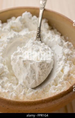 Maismehl oder Maisstärke beliebte Lebensmittelzutat verwendet beim Backen und für Verdickung Saucen oder Suppen Stockfoto