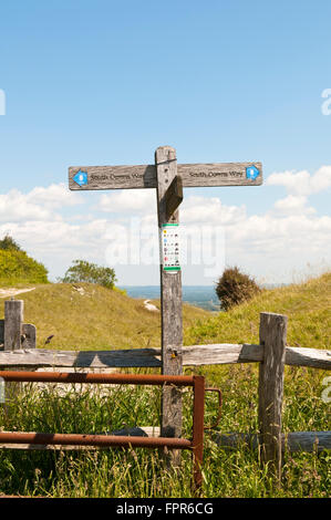 Hölzerne Wegweiser auf der South Downs Way Wanderweg in der Nähe von Bostal-Hügel in der Nähe von Touristenort, East Sussex Stockfoto