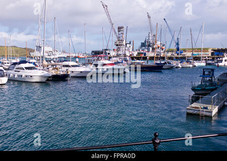 Hafen von Falmouth, Naval Dockyard, Marineschiffe, Vergnügen Kreuzer, Boote, Beitrag zur Stadt Wirtschaft, Bier Lieferung, Cornwall, UK Stockfoto